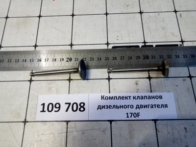 Комплект клапанов дизельного двигателя 170F