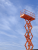 GROST Tower Drive 500-9 (11м) с выдвижной платформой GROST Tower Drive 500-9 (11м) с выдвижной платформой